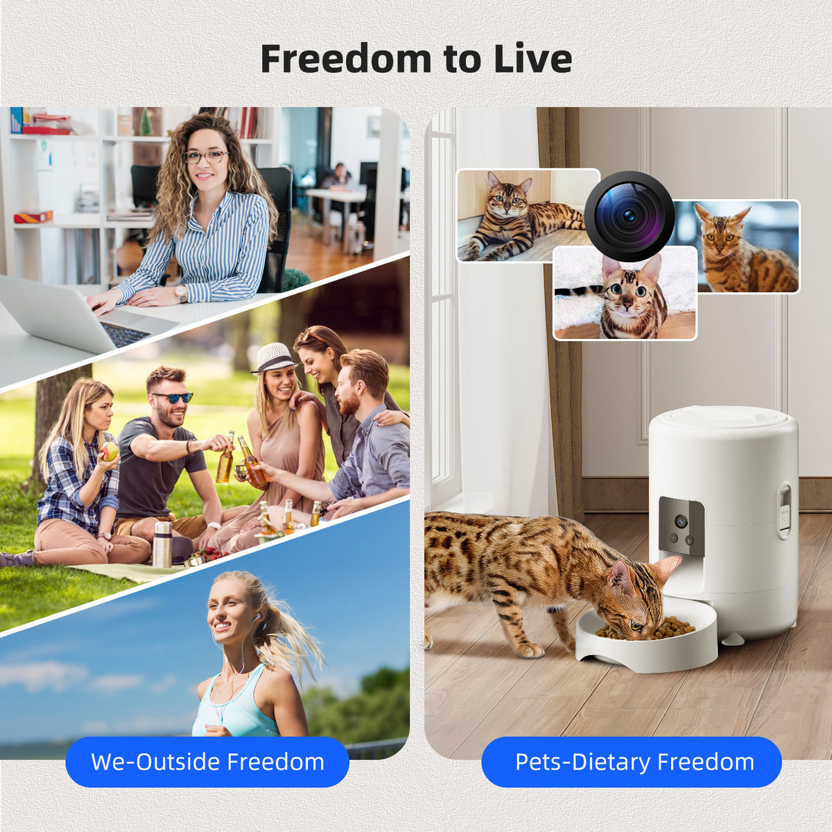 Automatic Pet Food Dispenser with WIFI Control